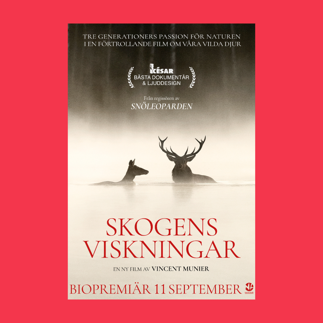 BIO PREMIÄR: SKOGENS VISKNINGAR 13/9 KL 16:00
