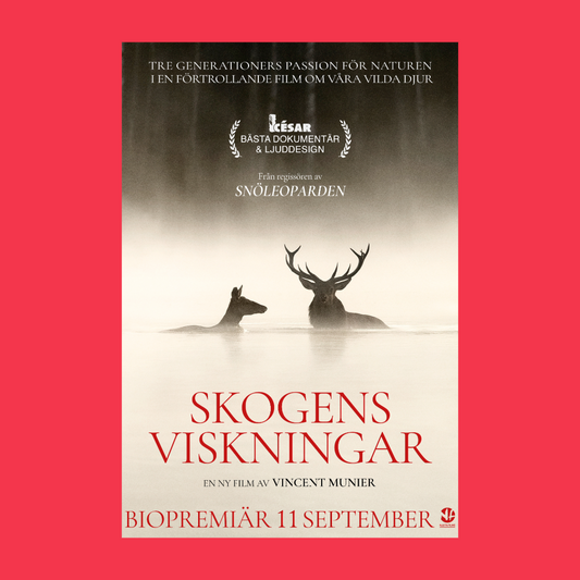 BIO PREMIÄR: SKOGENS VISKNINGAR 13/9 KL 16:00